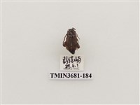 藏品(鞘翅目(1))的圖片